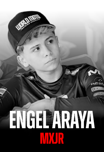 ENGEL ARAYA