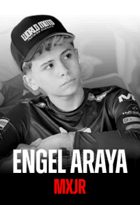 ENGEL ARAYA 205x300