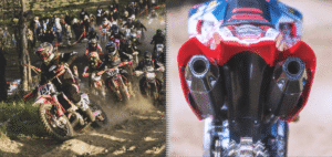 revendedor 300x142